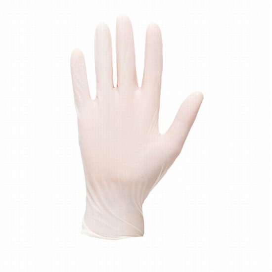 BlackRock Disposable Powdered Gloves 10 PK