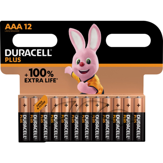 Duracell Plus Power Batteries AA PK 10